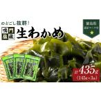 のり 海藻 わかめ 生わかめ 145g×3