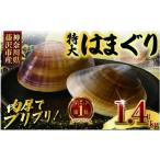 しじみ あさり 蛤 はまぐり 大粒 約 1.4kg