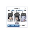 毛髪ホルモン量 測定キット テストステロン