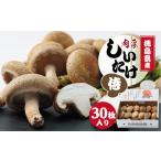 fu.... налог овощи вид .. . Tokushima префектура . юг город Tokushima префектура производство . пол сырой ...... samurai 30 листов входит 1302531