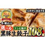 ふるさと納税 餃子 鹿児島県 日置市 No.429-c-m12 2025年12月中に発送予定 鹿児島黒豚使用の黒豚コンビ餃子(計108個・黒豚:12個入り×4パック、もちっと:15…