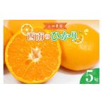 果物類 みかん 先行受付 2027年2月初旬~発送