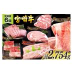 牛肉 ステーキ 6回 定期便 宮崎牛 ロースステーキ