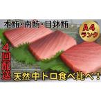 マグロ 全4回定期便 中とろづくし A4ランク