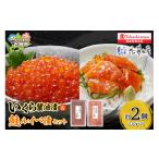 ふるさと納税 いくら 北海道 石狩市 いくら醤油漬・鮭ルイベ漬詰合せ｜ふるさと納税 石狩市 さとう水産 北海道 北海道物産展 鮭ルイベ漬け るいべ るいべ漬け …