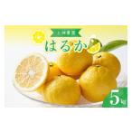 果物類 みかん 先行受付 2027年2月下旬~発送