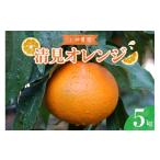 果物類 みかん 先行受付 2027年3月上旬~発送