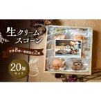 焼菓子 チョコレート 生クリームスコーン 20個