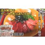 マグロ 全5回定期便 天然 三崎まぐろ漬け