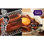 ふるさと納税 うなぎ 鹿児島県 大崎町 鹿児島県産うなぎ　蒲焼き5尾・きざみうなぎ2袋（合計800g以上）