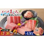 マグロ お正月用 メバチ鮪セット 漁連 M077-006-01
