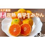 完熟極早生みかん 木戸農園のおおいた早生 約3kg