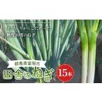 fu.... налог овощи вид лук порей Gunma префектура . холм город рисовое поле .. лук порей (15шт.@) сахар раз 30 длина лук-батун длина лук порей длина . лук порей лук-батун иметь машина удобрение овощи еда F21E-023