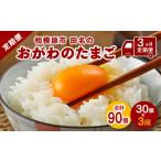 ふるさと納税 神奈川県 相模原市 【3ヶ月定期便】相模原市田名のおがわのたまご　ピンク卵 Mサイズ 30個(27個＋割れ補償3個)×3か月| 卵 鶏卵 玉子 たまご 生…