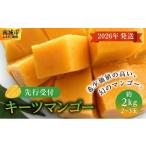 ショッピングふるさと納税 マンゴー ふるさと納税 マンゴー 沖縄県 南城市 (先行受付) 2026年発送 キーツマンゴー 南城市 約2kg (2〜3玉)