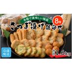 加工品等 手軽で美味しい福袋 さつま揚げ詰合せ 8種