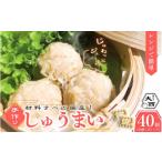 大西のしゅうまい40個セット 20個入り×2パック