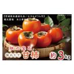 果物類 柿 秋の宝石 採れたての甘柿3kg