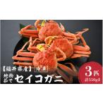 ふるさと納税 カニ ずわいガニ 福井県 美浜町 先行予約 冷凍 冬の味覚 旬 セイコガニ 3杯 計550g前後 2025年11月上旬以降順次発送予定 説明書付 食べ切数量 …