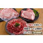 牛肉 ステーキ 宮崎牛月替わり堪能セットB 合計1600g