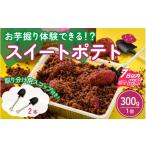 焼菓子 チョコレート ふくのいも お芋掘りスイートポテト