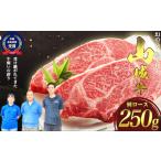 牛肉 ロース 入手困難 幻の黒毛和牛 山城牛