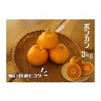 果物類 みかん _2027年出荷分 湯の花