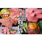 牛肉 定期便 全5回 特選黒毛和牛定期便 黒毛和牛