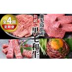 牛肉 定期便 全4回 お試し黒毛和牛定期便