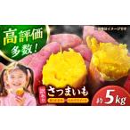 野菜類 サツマイモ 訳あり さつまいも 紅はるか