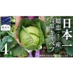 セット 詰合せ 嬬恋キャベツ 嬬恋産 高原キャベツ4玉1ケース