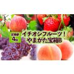 ふるさと納税 りんご 山形県 山形市 定期便4回 イチオシフルーツ やまがた宝箱B FY25-822
