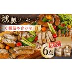 肉 ソーセージ 燻製 6種詰め合わせ セット