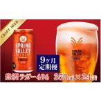 ビール 定期便9回 キリン SPRING VALLEY