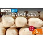 人参 大根 他根菜 2026年10月~発送