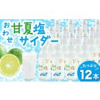 炭酸飲料 サイダー 海洋深層水 から作った