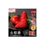 ふるさと納税 いちご 奈良県 大和高田市 先行予約 奈良県産いちご 古都華 化粧箱入り2パック 2025年12月中旬から発送 1253928