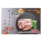 豚肉 ロース KCK-13 共通返礼品 美明豚