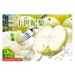 ショッピングふるさと納税 梨 ふるさと納税 梨 兵庫県 香美町 2026年産 先行予約 20世紀梨 ご自宅用 優品（Bランク）5kg サイズ L〜5L混合（10〜18玉） 梨 8月下旬〜9月中旬にかけて発送予…