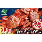 ふるさと納税 カニ ずわいガニ 北海道 森町 訳あり 北海道噴火湾産 活オオズワイガニ 3.0kg 道産ネットミツハシ かに カニ 蟹 ガニ がに 森町 ふるさと納税 …