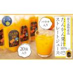 果汁飲料 みかん たんかん果汁100%ストレートジュース