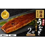 うなぎ蒲焼じっくり焼き約250g×2尾