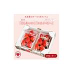 ふるさと納税 いちご 栃木県 さくら市 先行予約 いちご とちあいか・スカイベリーセット 270g×4パック(1.08kg以上)|いちご イチゴ 苺 先行予約 栃木県 果…