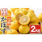 みかん 柑橘類 < 受付中 予定>完熟かぼす 約2kg