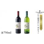 ワイン セット 牛久醸造 わいん 赤白 計 2本