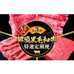 牛肉 セット A5等級 那須黒毛和牛 特選定期便