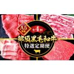 牛肉 セット A5等級 那須黒毛和牛 特選定期便