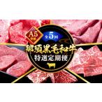 牛肉 セット A5等級 那須黒毛和牛 特選定期便