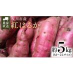 野菜類 サツマイモ 桜川産 さつまいも 紅はるか 5kg