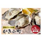 ふるさと納税 牡蠣 生牡蠣 広島県 呉市 先行受付 2025年12月より発送 丸十水産 広島ブランド牡蠣 殻付き かき小町 約3kg (15〜21個) ku003-007-25